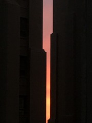 1000011732