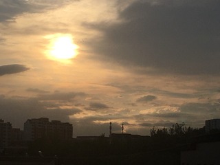 1000011694
