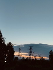1000017769