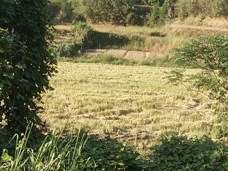 IMG_20240917_163658