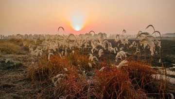 _SDI0362-HDR