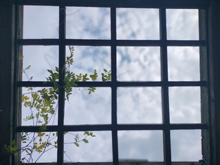 1000005707