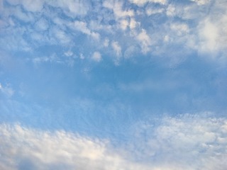1000007203