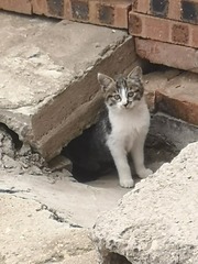 1209