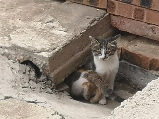 1208