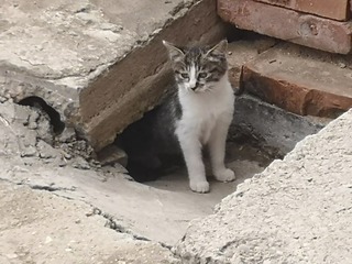 1207