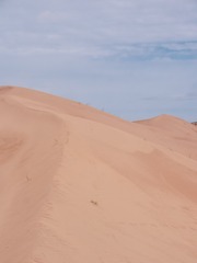 1000116055