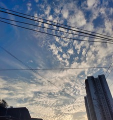 1000056780