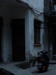 1000067424