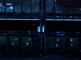 1000066408