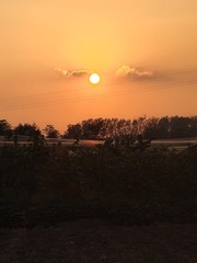 1000007685