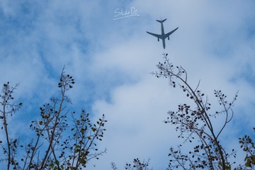 2163275
