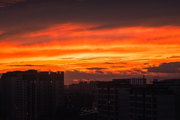 2163486