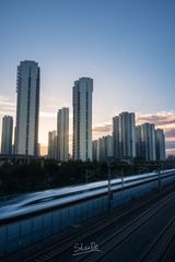 2163393