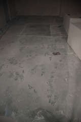2173083