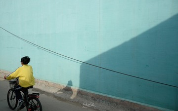 2181529