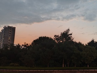 1000011739