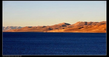 DSC_1594.jpg