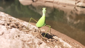 8348
