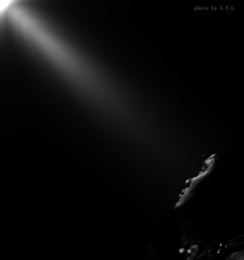 IMG_1607-11..jpg