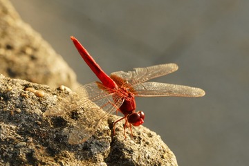 150584