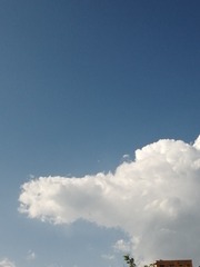 2463509