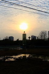 001