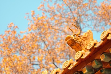 P9940401_DxO
