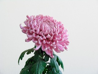 PA300911