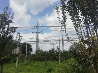 1737714