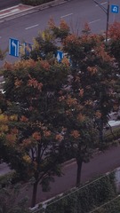 1000026729