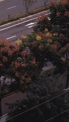 1000026731