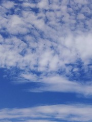 4270198