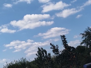 1000008352