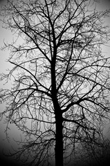 DSC_0173 (1).jpg