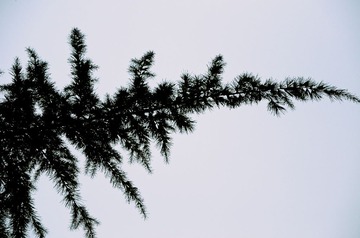 DSC_2321.jpg