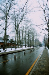 DSC_2418.jpg