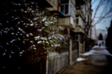 DSC_2355.jpg