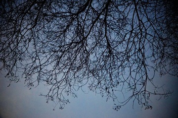 DSC_2736.jpg