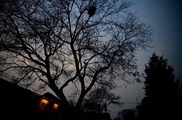 DSC_2746.jpg