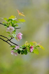 F340128D-83C8-4DA5-B3C3-9ED11B523F78/L0/001