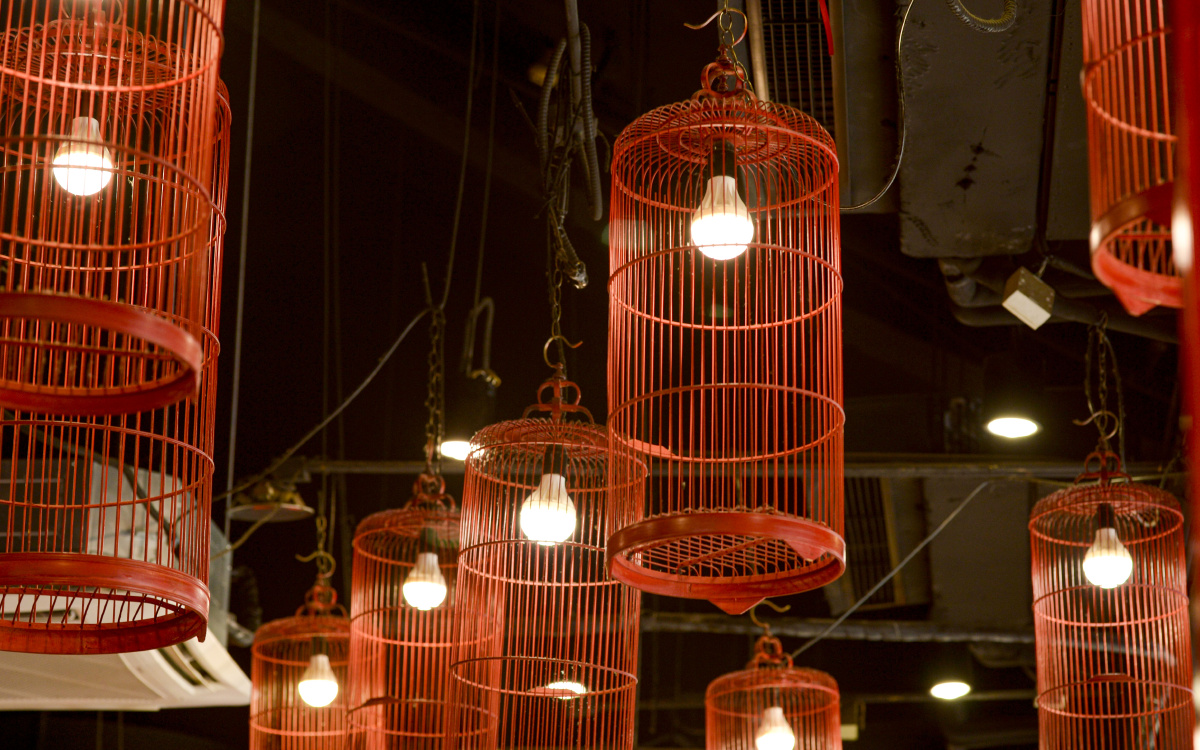 鸟笼灯