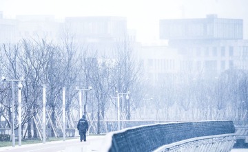 _DSC8571
