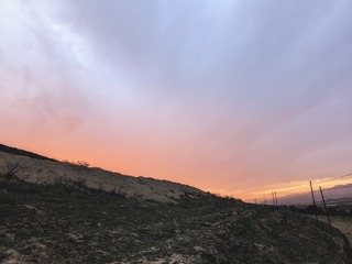 1000055620
