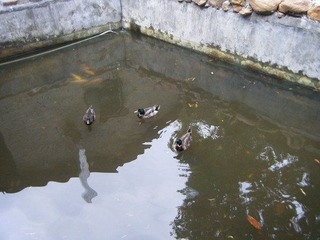 DSCF7358.jpg