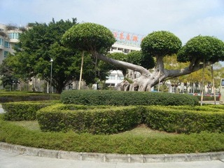 DSCF7363.jpg