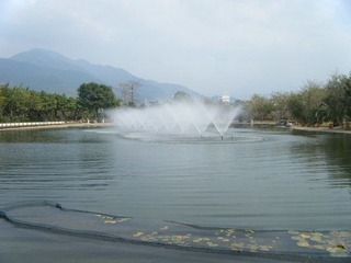 DSCF7365.jpg