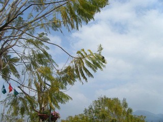 DSCF7367.jpg
