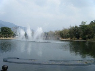 DSCF7370.jpg