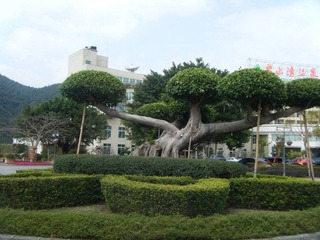 DSCF7373.jpg